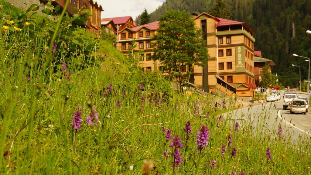 Ayder Resort Hotel Rize Kültér fotó