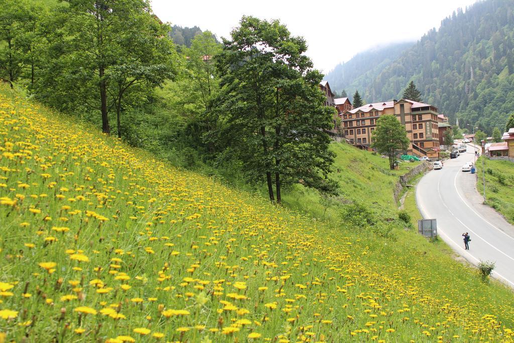 Ayder Resort Hotel Rize Kültér fotó