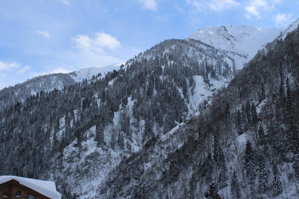 Ayder Resort Hotel Rize Kültér fotó
